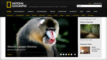 免费网络轰炸机app